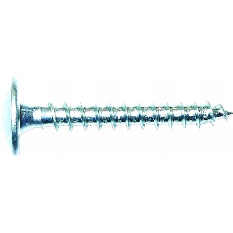 500 vis de penture D. 6 x 20 mm zinguée blanc TX 30 - VPB60020 - Alsafix