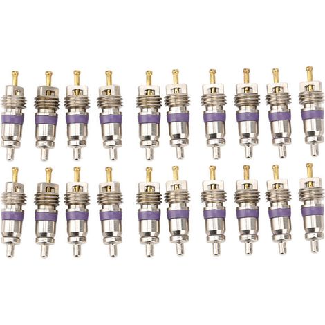 Eosnow 20pcs Car Climating Valve Core Core Automobile Conditionneur de revitateur pour Benz (1/4)