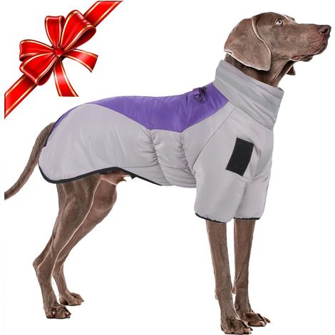 Chaqueta de invierno para perros grandes - Abrigo para clima frío - Impermeable - Chaqueta deportiva cálida - Con características de seguridad reflectantes y arnés con cierre D (1/5)
