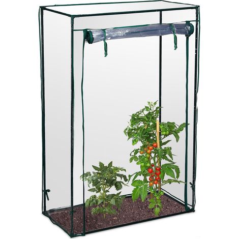 Coltivazione del pomodoro in serra