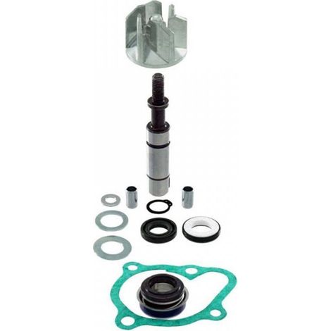 rms wasserpumpe für roller kymco 200 people 2010 bis 2014 v42000