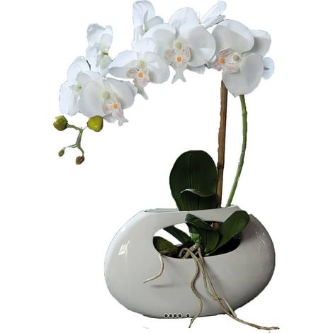 Orchidee artificielle crème 1 hampe pot Ceramique Blanc oval H 43 cm - couleur: Crème
