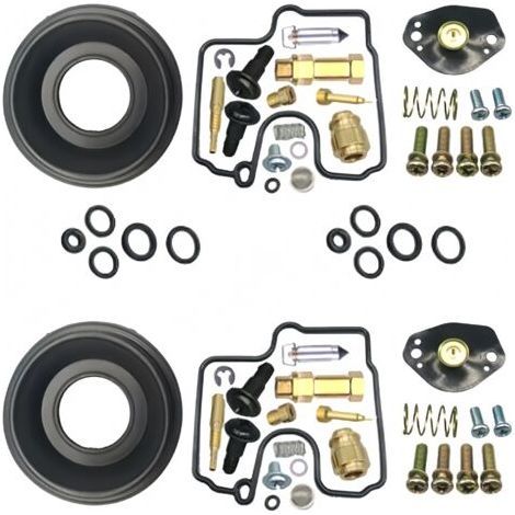 BARKBUSTERS Compatible avec les modèles SUZUKI SV650 et SV650S (1999, 2000, 2001, 2002).