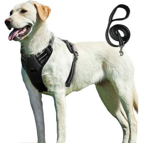 Harnais Chien L, Harnais Anti Traction pour Chien, Facile à Mettre, avec Poignée Contrôle, Noir Livré avec une corde de 1,5 (1/4)