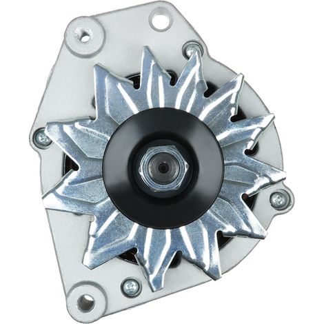 Lichtmaschine 100 Transporter Passat (1/5)