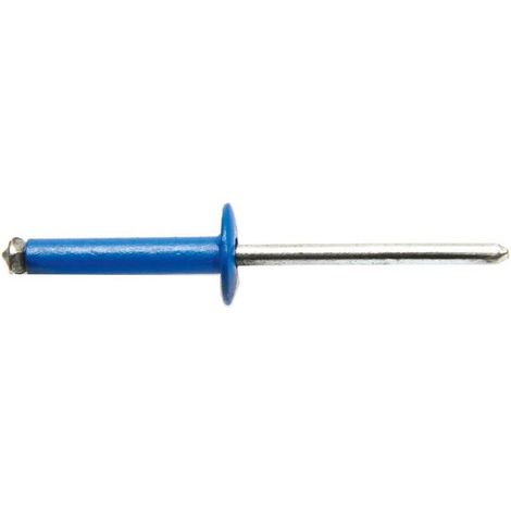 250 Rivets Aveugles Eclatés Tête Large GOSTAR TRS 4 x 16 mm - Aluminium/Acier Bleu - D-Work