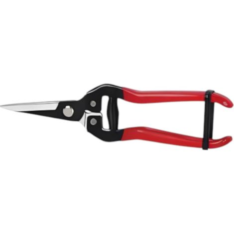 Forbici con lama in acciaio coglifrutta e ortaggi 19 cm
