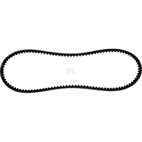 Cinghia AV10x835 mm SDF 24119146010 (1/2)