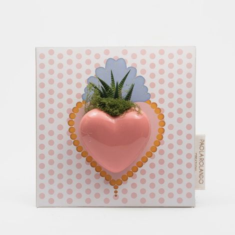 Pianta grassa succulenta in vaso cuore ceramica Cuoricino Pois - Rosa