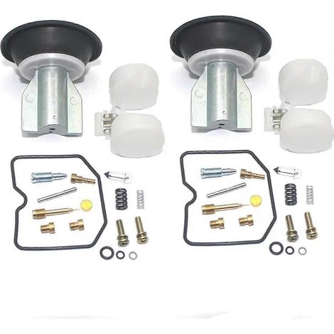 Kit de réparation de carburateurs pour motos Kawasaki EN 450 500, EN450 454 LTD (85-90), EN500 (90-94) : vis de richesse à pointeau flottant.