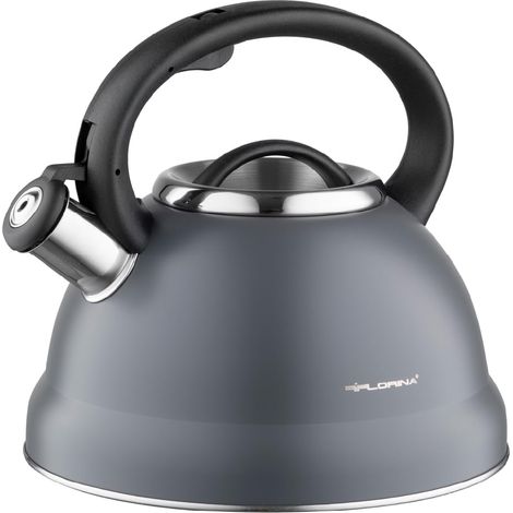 Bouilloire Inox (2,1 l) Bouilloire Sifflante Poignée en Bakélite Non Electrique Bouilloire Induction, Gaz Pour Thé et Café Couleur: Gris (1/5)