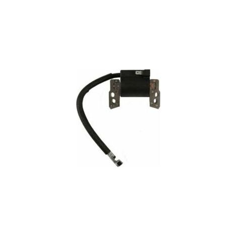 Bobine allumage moteur Briggs et Stratton 796964 - Crezuo (1/2)