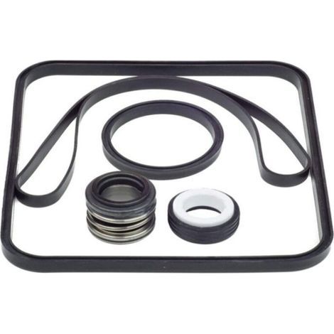 O-ring repair kit for Hayward Super SPX1600 TRA pump (1/3)