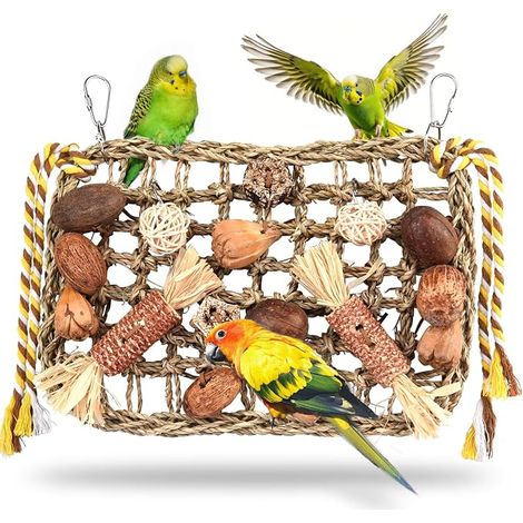 Toys for Birds, Toy Parrot, Toy Parrot Gray Gabon Wall Hanging Natural Games for Parrot (1/5)