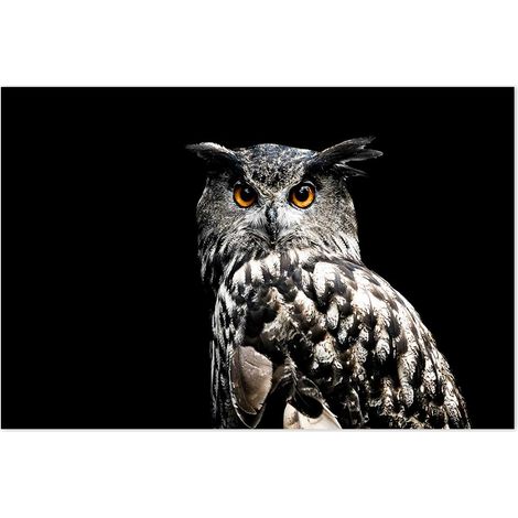 Affiche Portrait d hibou - 60x40cm - made in France (1/5)