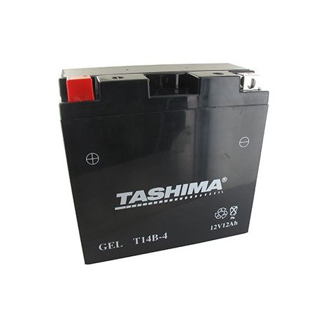 Versiegelte Blei-Batterie 12V Gel/AGM, 12A. L: 152, B: 70, H: 145 mm, links für Motorräder. - Batterie vor dem Einfüllen von Säure zu verwenden
