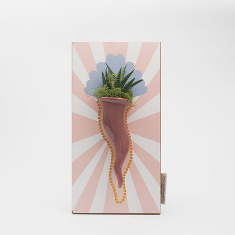 Pianta grassa Succulenta ceramica Made in Italy Cornetto Radiale - Rosa