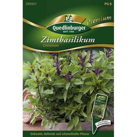 Quedlinburger Saatgut – Basilic cannelle « Cinnamon » – Graines d'herbes aromatiques, fleurs rouge foncé, hauteur env. 50 cm (1/2)
