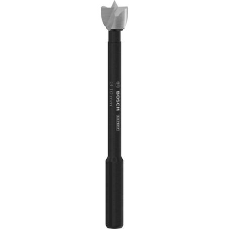 Bosch EXPERT Wood Forstnerbohrer Ø 10 mm Schaft-Ø 8 mm - 2608901821