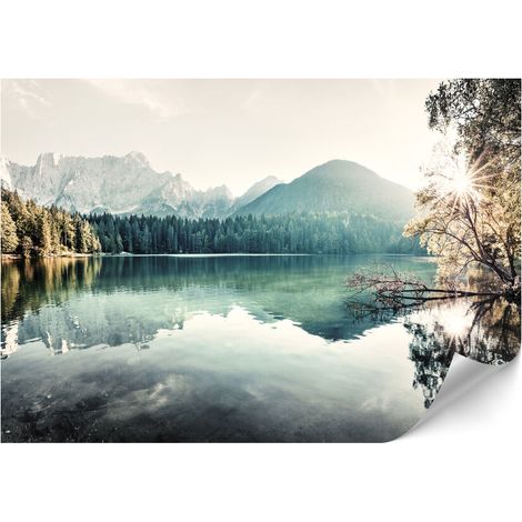 Carta da parati standard in tessuto non tessuto - 100 x 70 cm - stile classico - natura Carta da parati standard in tessuto non tessuto - 250 x 175 cm - stile classico - natura (1/4)