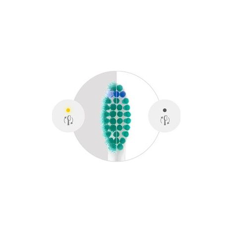 Brossette dentaire Philips Sonicare HX6012 87 ProResults Lot de 2 Blanc (1/2)