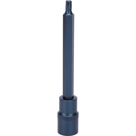 Embout Tournevis 12 Points Douille Acier Allié Bleuté Outil à Main Métrique 140x6mm (1/5)