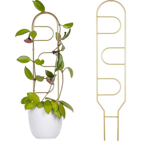 Support en métal doré pour plantes grimpantes Portale 60cm - élégante échelle à fleurs au style glamour, structure de support dorée moderne pour monstera (1/5)
