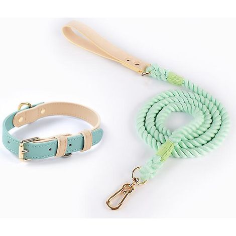 Mittellanges Halsband + 120 cm Leine, hochwertiges Lederhalsband für Hunde – Hundehalsband aus Kalbsleder – Lederhalsband (1/5)