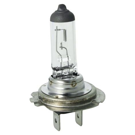 Coppia lampade alogene H18 12V 65W PY26d-1 per Ford EcoSport e Kuga (1/3)