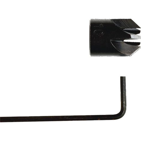 Fraisoir diamètre 10mm - PROJAHN - 33610