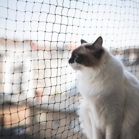 Rete per gatti, 800 cm x 300 cm, per balcone o finestra, schermo per gatti, rete per gatti da balcone, kit di montaggio completo incluso, nylon, nero (1/5)