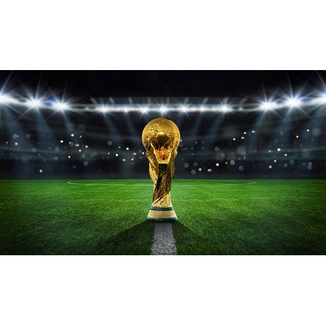 Papier peint panoramique Foot / Football - Coupe du monde - 130 cm x 74 cm (1/2)