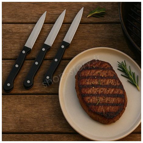 Lot de 3 couteaux à steak en acier inoxydable – Lame lisse 11 cm (1/5)