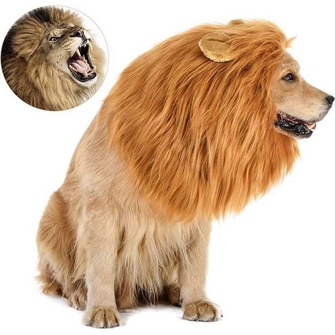 Lion's Mane Dog XL - vêtements pour chiens - chapeau pour chien - casquette pour chien - tenue pour chien - accessoires - jouets pour chien - cadeau - anniversaire pour chien - costume pour chien (1/5)