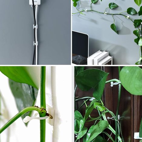 50 ganchos autoadhesivos para plantas trepadoras, de ABS flexible, para uso interior/exterior. (1/5)