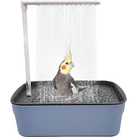 Baignoire automatique pour perroquet avec douche, baignoire à oiseaux, grande baignoire électrique USB, fontaine de douche pour perruche, cacatoès