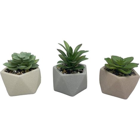 TRADE SHOP - Set 6pz Pianta Verde Grassa Finta Con Vaso Ceramica Geometrico 10x10xh13cm 3 Colori 157947 -