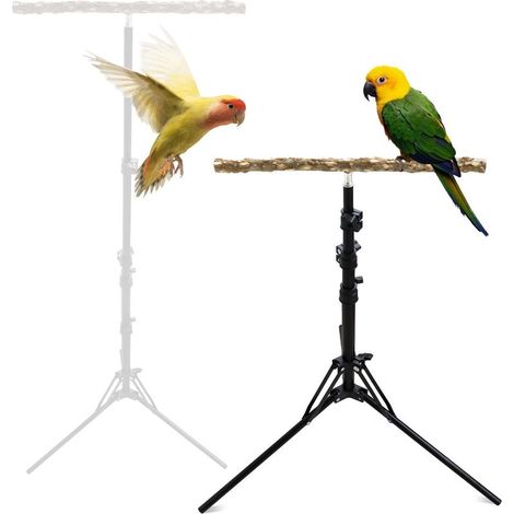 Perchoir en bois de poivre naturel, hauteur réglable idéal pour oiseaux de petite et moyenne taille usage intérieur et extérieur (1/5)