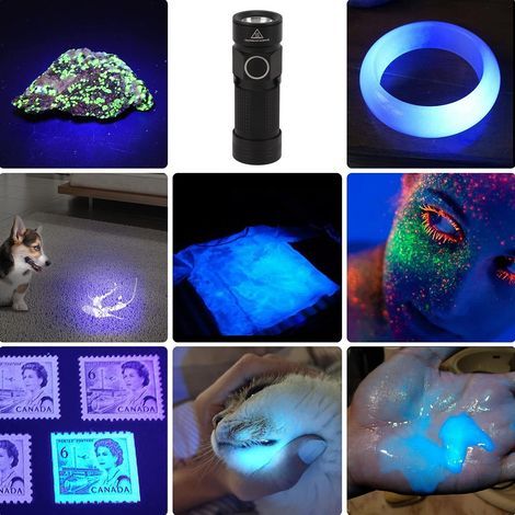 Lampe UV LED 395nm Trois Modes Lumière Portative Détection Taches Pets Anti-Falsification (1/5)