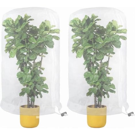 Malla para árboles frutales, paquete de 2 mallas de protección contra insectos, plantas y plagas, para hortalizas, flores y frutas, 0,8 x 0,8 m (1/4)