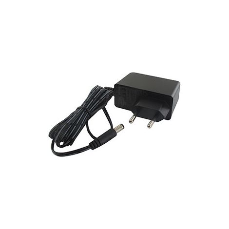 Briggs & Stratton – Chargeur de batterie moto 12V 5A – Compatible moteurs Instart Europe – Technologie lithium-ion pour performance optimale