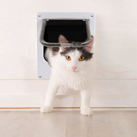 Chatière pour Chat Intérieur Blanc Magnétique, Porte Chat 27  23,5  5,5 cm, Trappe Chat 4 Voies d'Accès，Blanc (1/4)