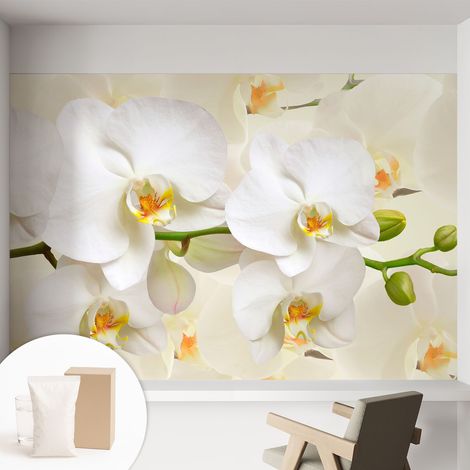 Papier peint intissé mural avec imprimé pour décoration pour salon pour chambre à coucher pour entrée Richesse florale 152x104 cm (1/5)