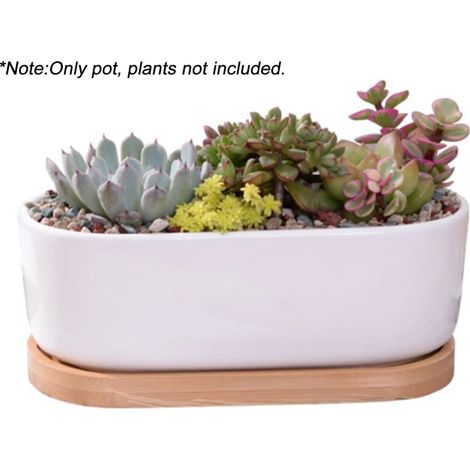 Pot de fleurs ovale en céramique blanche avec plateau en bambou, idéal pour les plantes succulentes, à poser sur une table ou un bureau. (1/5)