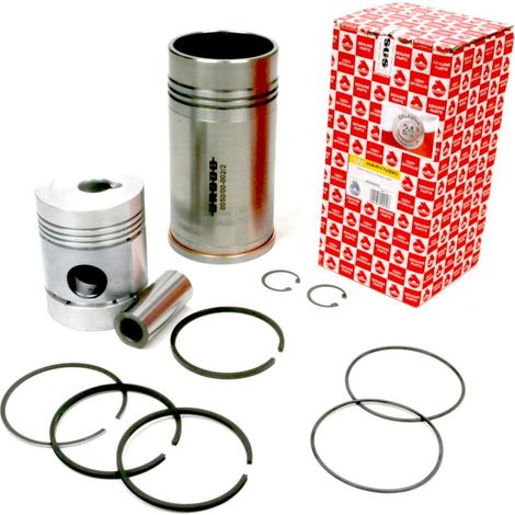 C-330M Motorreparatursatz Original URSUS (1/5)