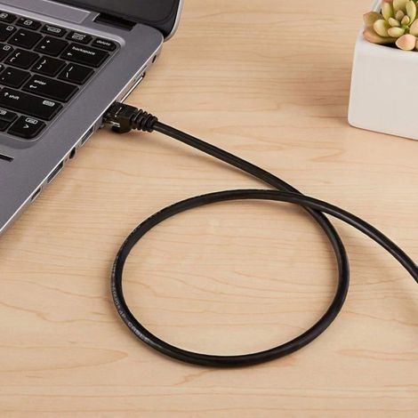 Câble Ethernet Cat-6 - Gigabit - RJ45 - 5 m - Noir - Lot de 1 (1/4)