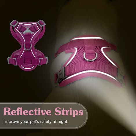 Harnais pour chat réglable et anti-fuite avec laisse assortie, ensemble de promenade confortable en maille respirante pour chaton et petit chien (1/5)