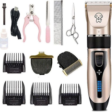 Kit de toilettage pour animaux : Tondeuse pour chien, rechargeable par USB, silencieuse, batterie 1200 mAh - Outil professionnel (1/5)