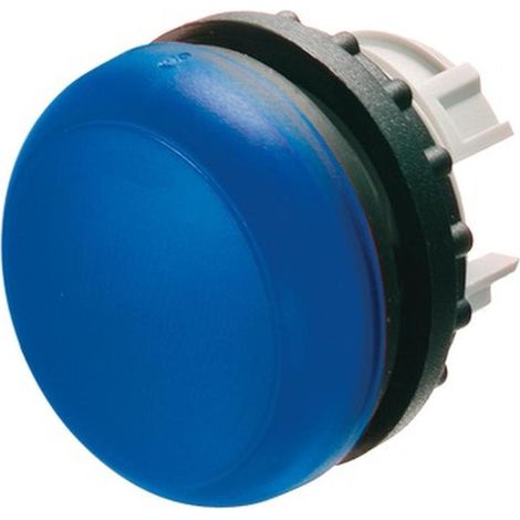 M22-LB Lampe, blauer Kopf (1/5)