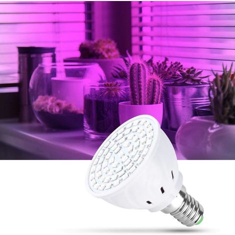 TrAdE Shop Traesio - Lampadina Led Smd Lampada 2w Per Coltivazione Piante Fiori Idroponica E14 E27 -       -E27-